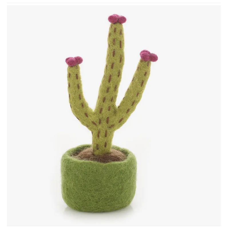 Cactus en feutre